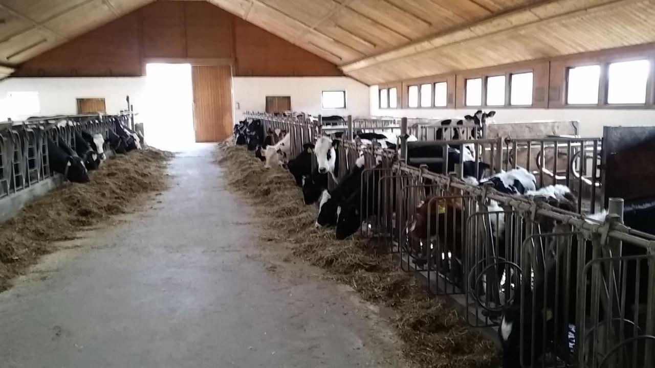 Ferienwohnungen Oranhof Velden am Worthersee Bagian luar foto